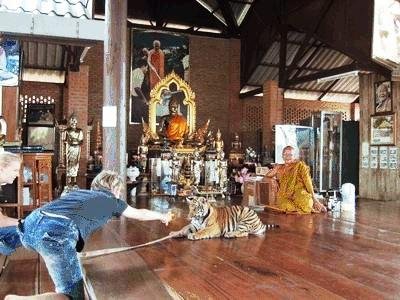 Templo del Tigre Tailandia 08
